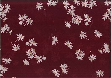 Crepe de chin daisy
